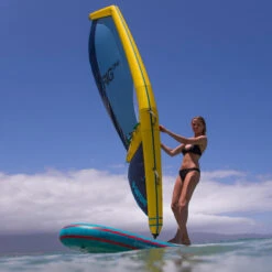 SUP FANATIC VIPER AIR WINDSURF PREMIUM 2022 355 -Railblaza Boutique sup fanatic viper air windsurf premium 2022 355 7